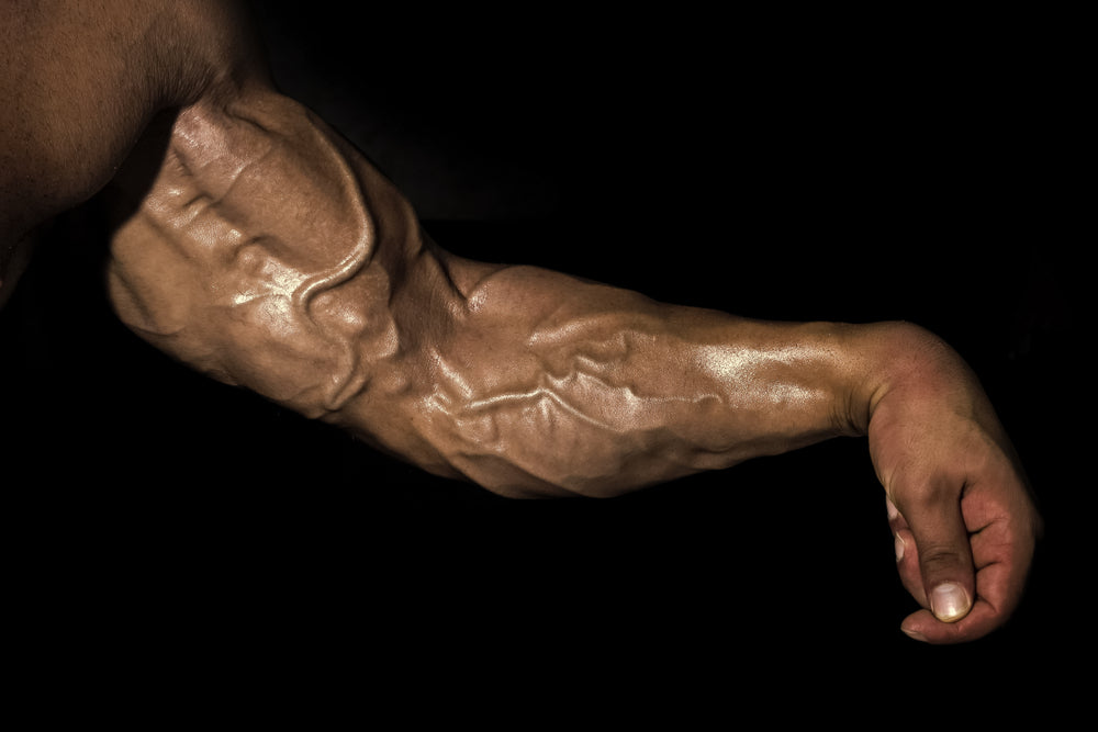  Arm with muscles, biceps, triceps and veins on black background. 