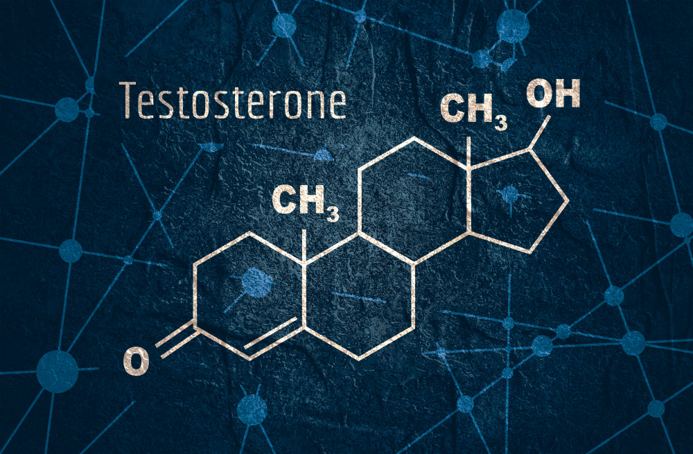 Chemical molecular formula hormone testosterone