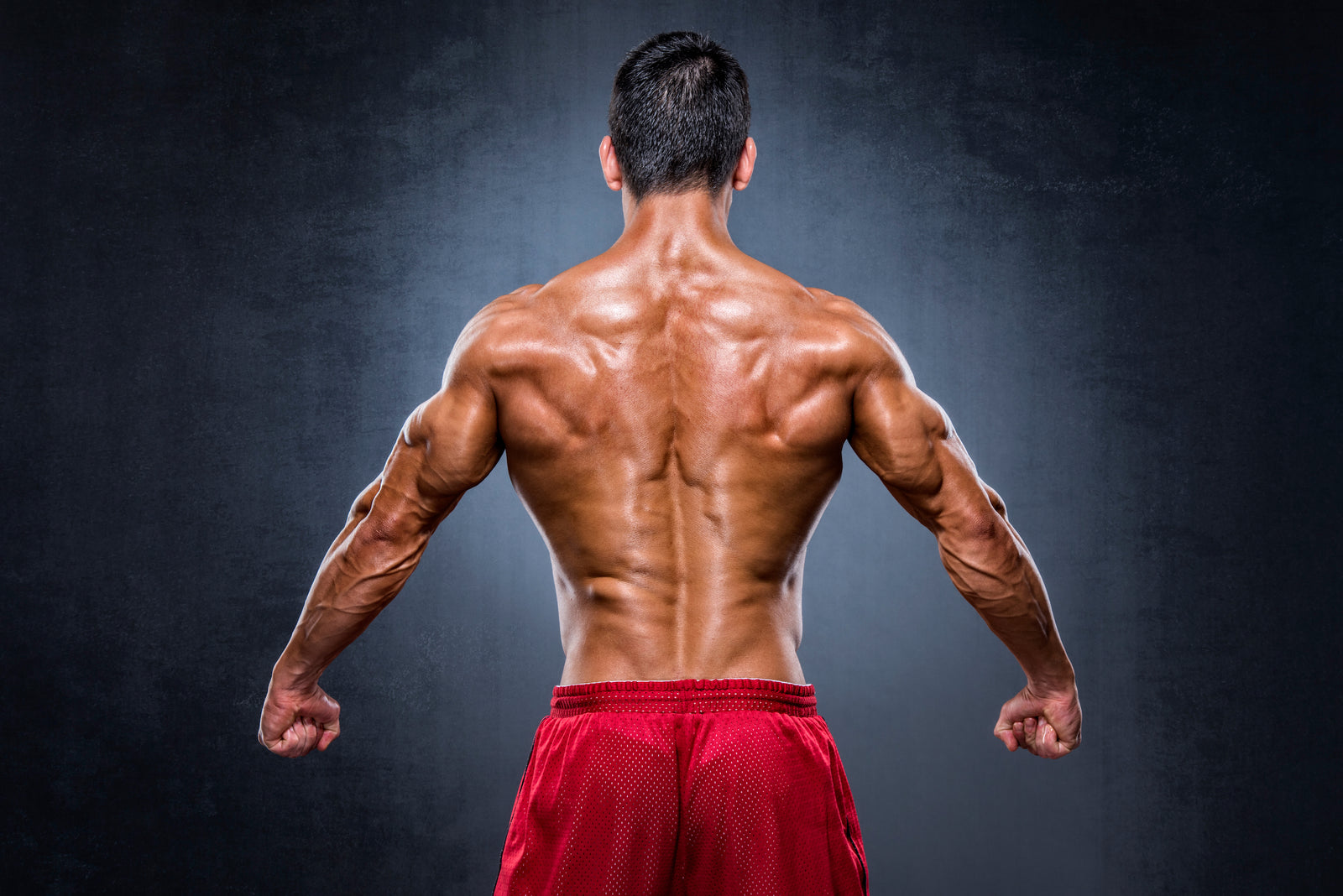 Bodyweight Back Exercises for Building a Strong Back - Steel Supplements