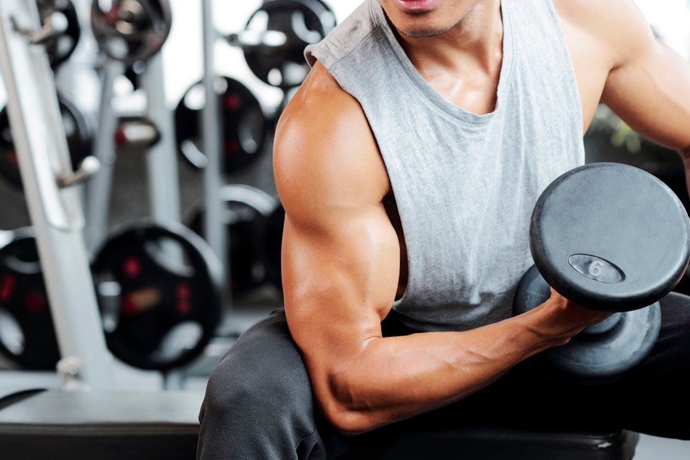 The 5 Best Long Head Biceps Exercises for Sculpting Your Arms