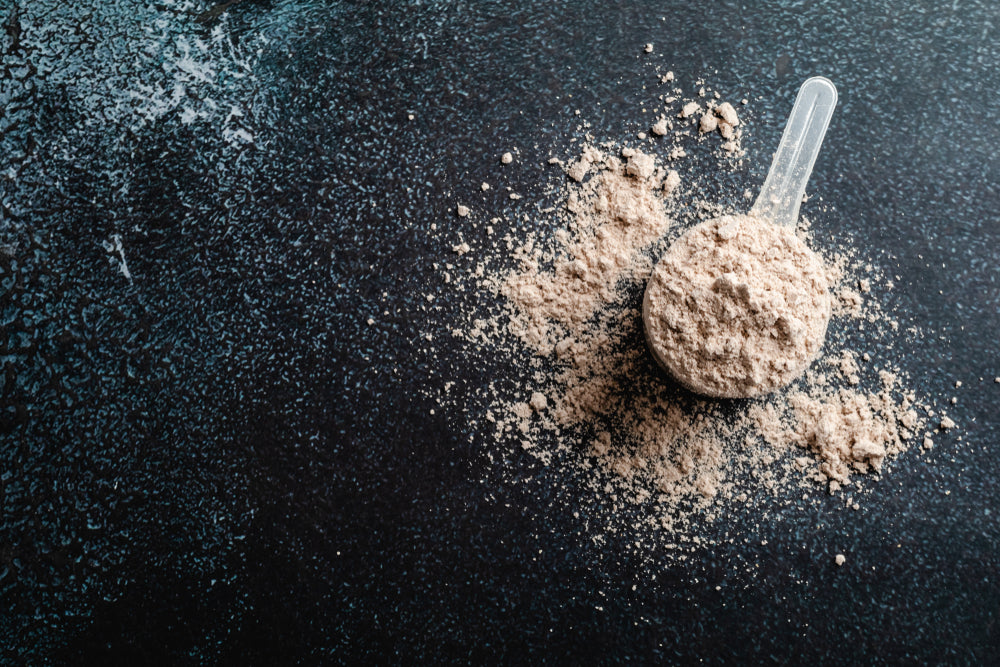 how-much-protein-powder-should-you-take-per-day-steel-supplements