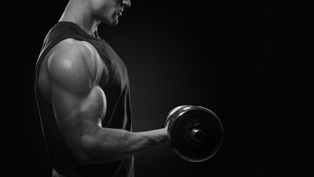 Stabilizer Muscles 101: What They Are & Why They're Important - Steel ...