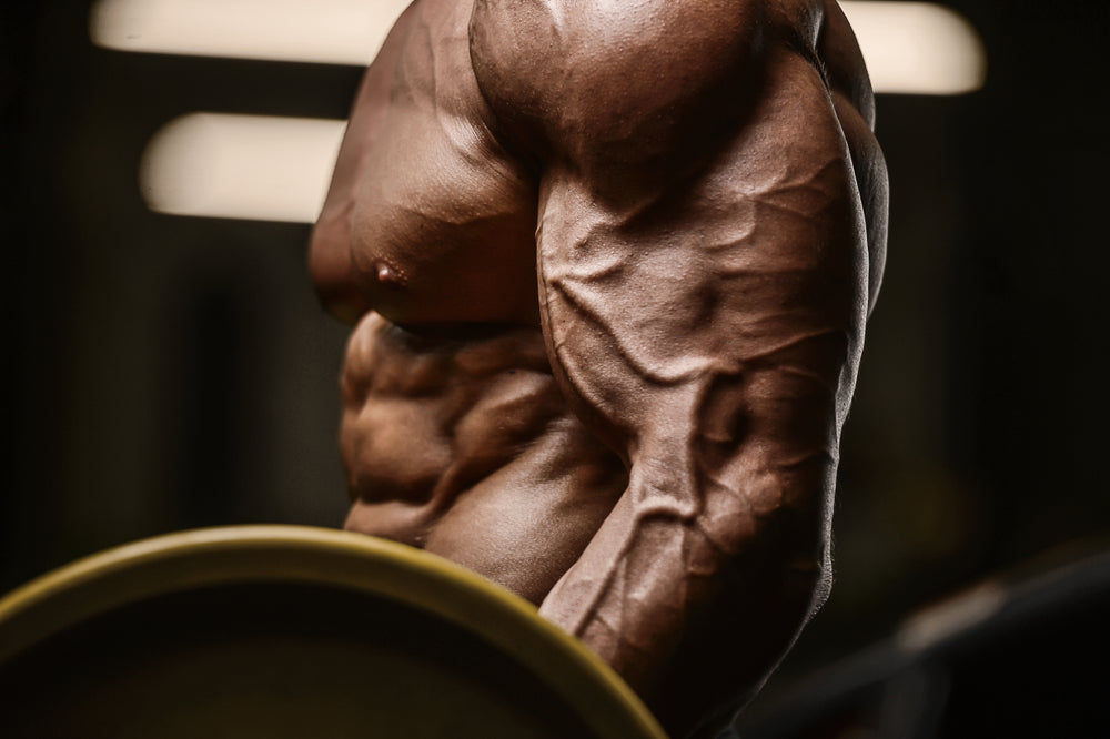 Handsome strong athletic man pumping up biceps muscles workout fitness and bodybuilding concept background