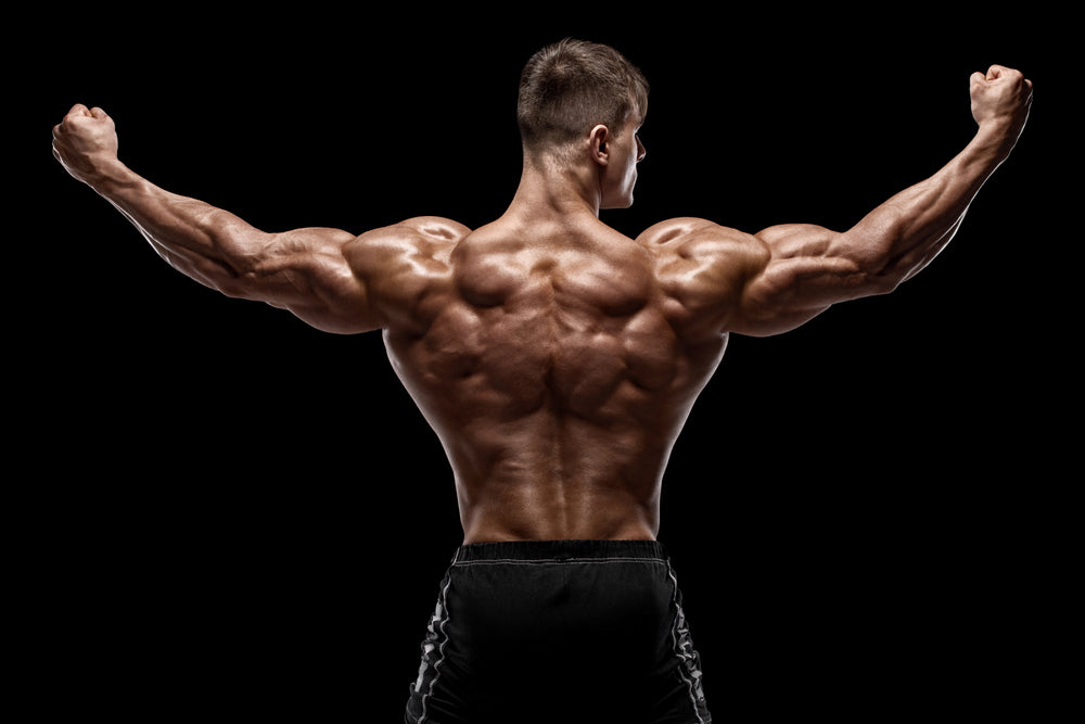 How To Do Lat Pullovers (Form & Benefits) - Steel Supplements