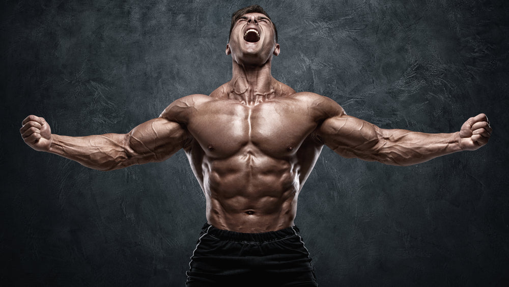 7 Strength Exercises for Men to Bulk up Fast