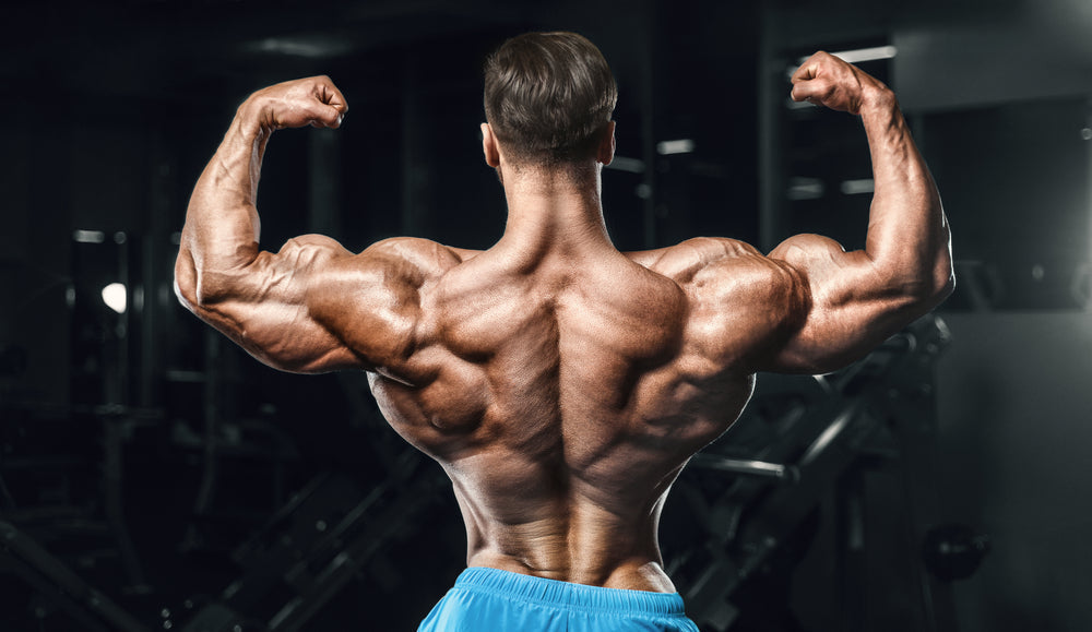 odybuilder handsome strong athletic rough man pumping up back muscles 