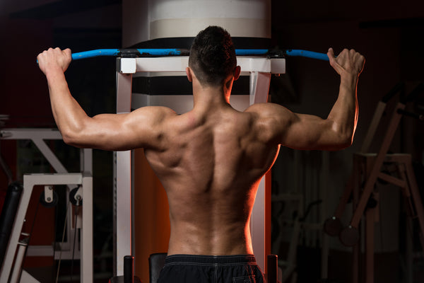 10 Best Bodyweight Back Exercises for Home Workouts - Steel Supplements