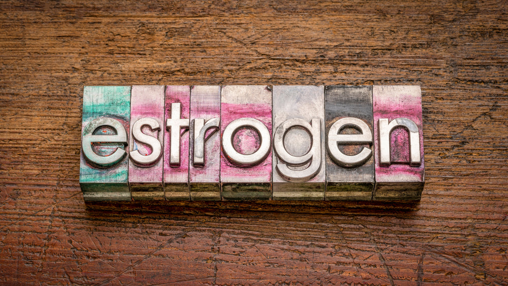 estrogen word abstract in gritty vintage letterpress metal type stained by printing ink against rustic wood