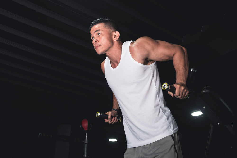 What Muscles Do Dips Work?