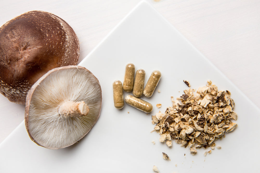 Shiitake Lentinus edoides mushroom supplement capsules with fresh Shiitake mushrooms and powdered on white minimal background