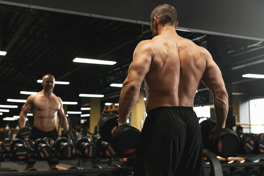 Muscular bodybuilder doing dumbbell shrugs in gym