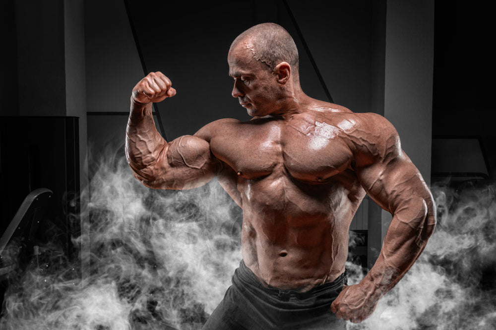 The Clean Bulk: A New Approach To Adding Offseason Muscle