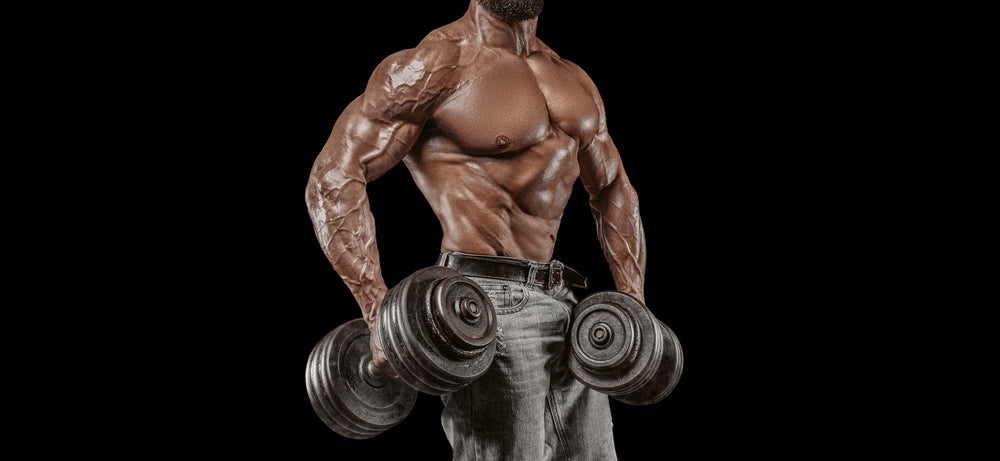 Muscular athlete posing in the studio with dumbbells.