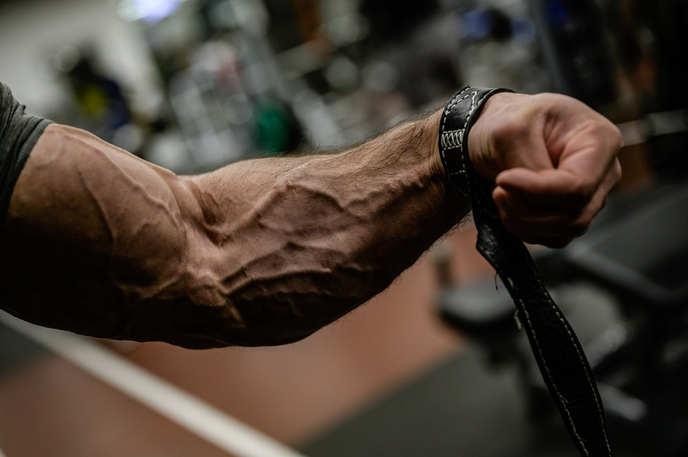 strong forearm with vein and strap of bodybuilder