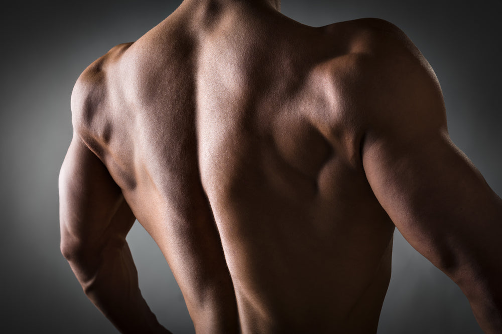 10 Best Lat Exercises You Can Do At Home - Steel Supplements