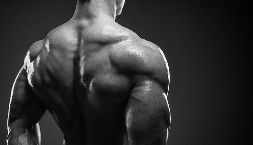 What Muscles Do Face Pulls Work?