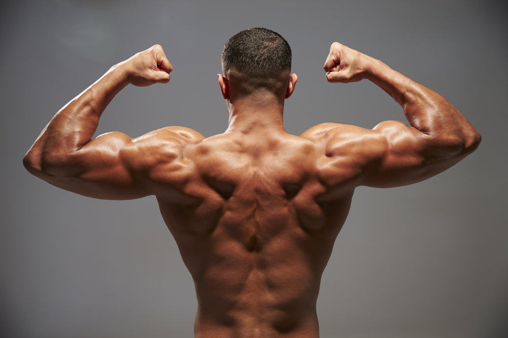 10 Best Teres Major & Minor Exercises for Strength