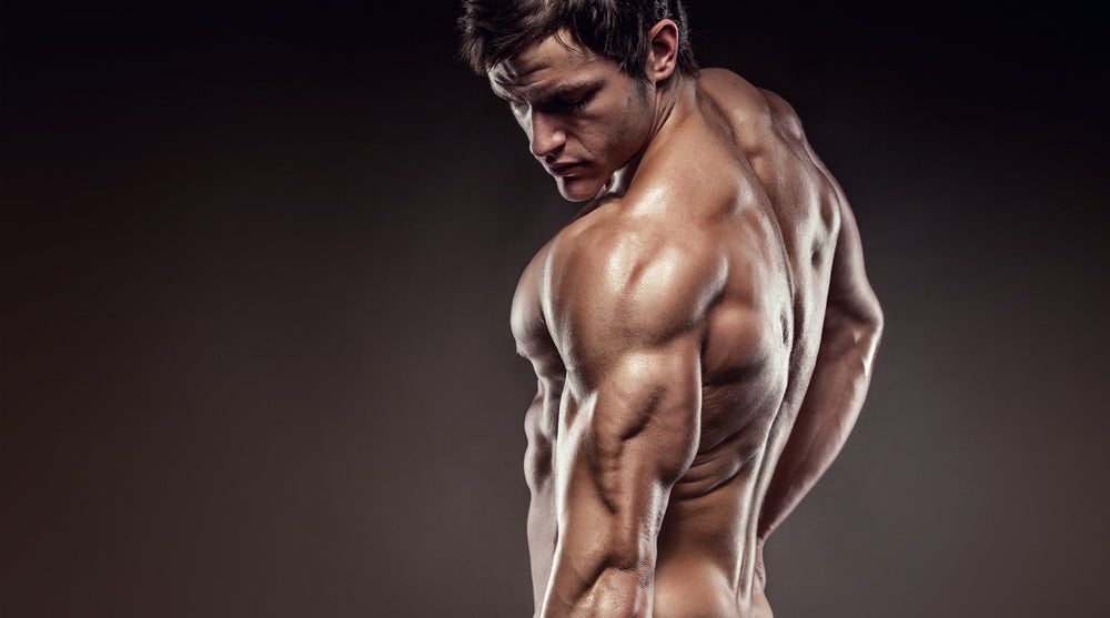 Strong Athletic Man Fitness Model showing his triceps