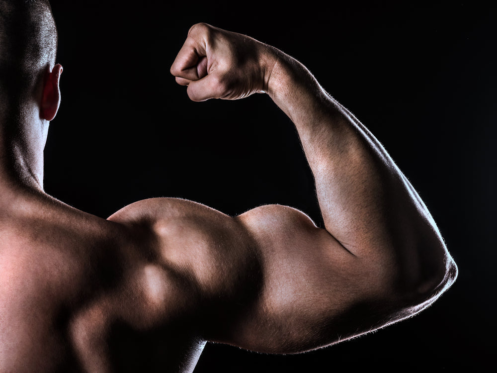 What is a Bro Split Workout Routine?