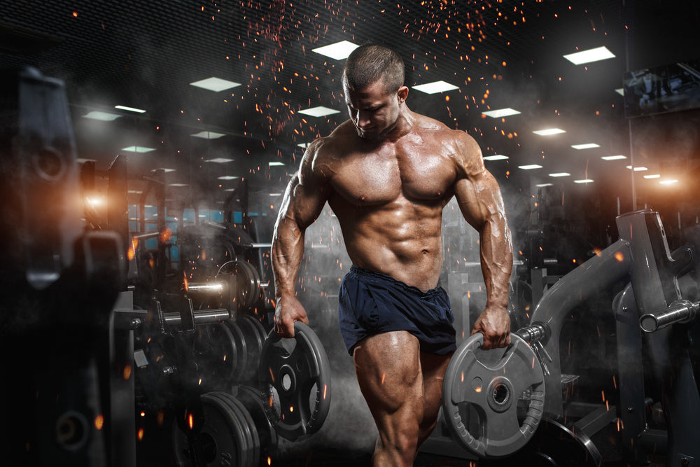 Muscular athletic bodybuilder fitness model posing
