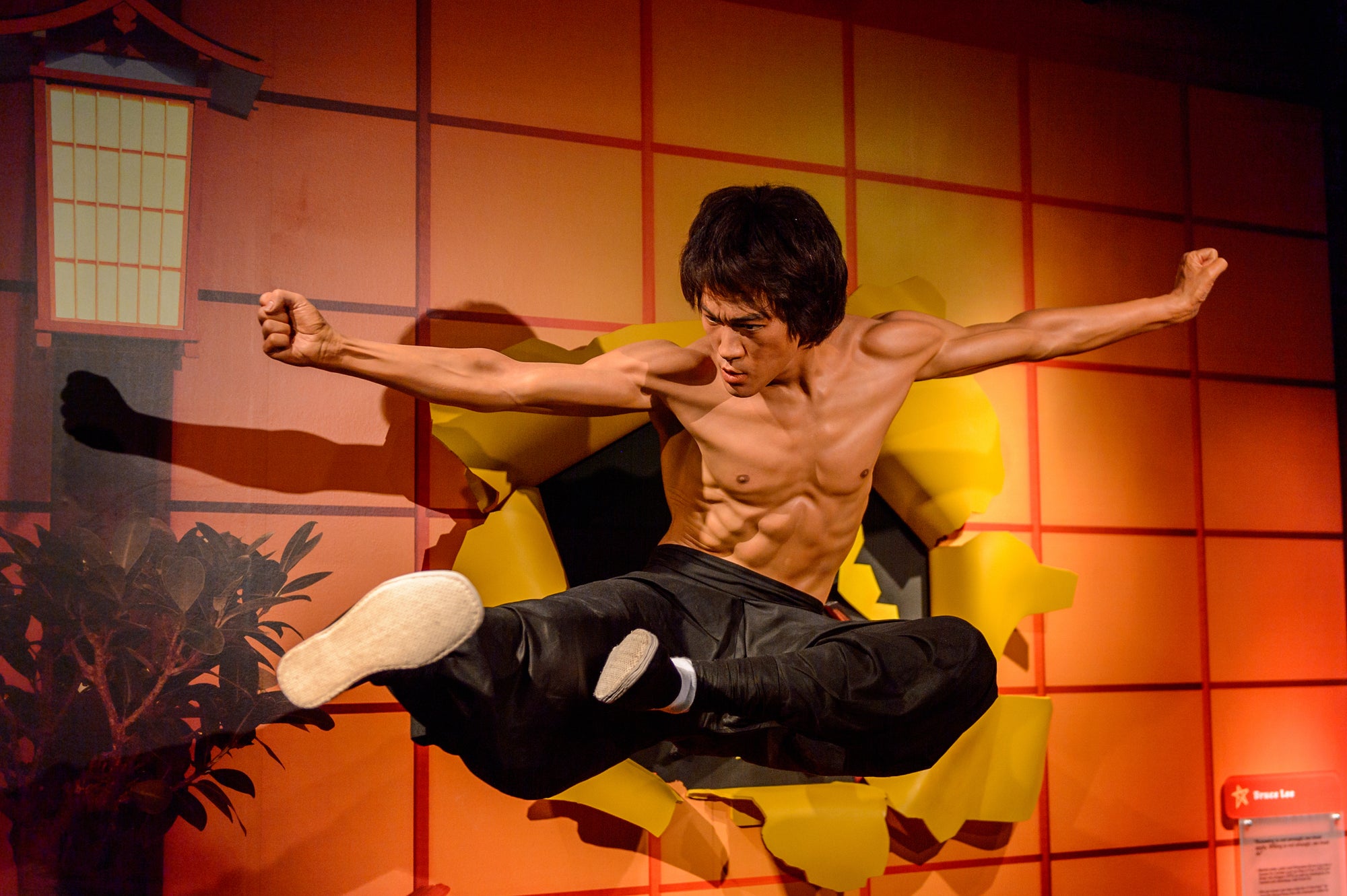 Bruce Lee's Workout Routine & Diet Plan