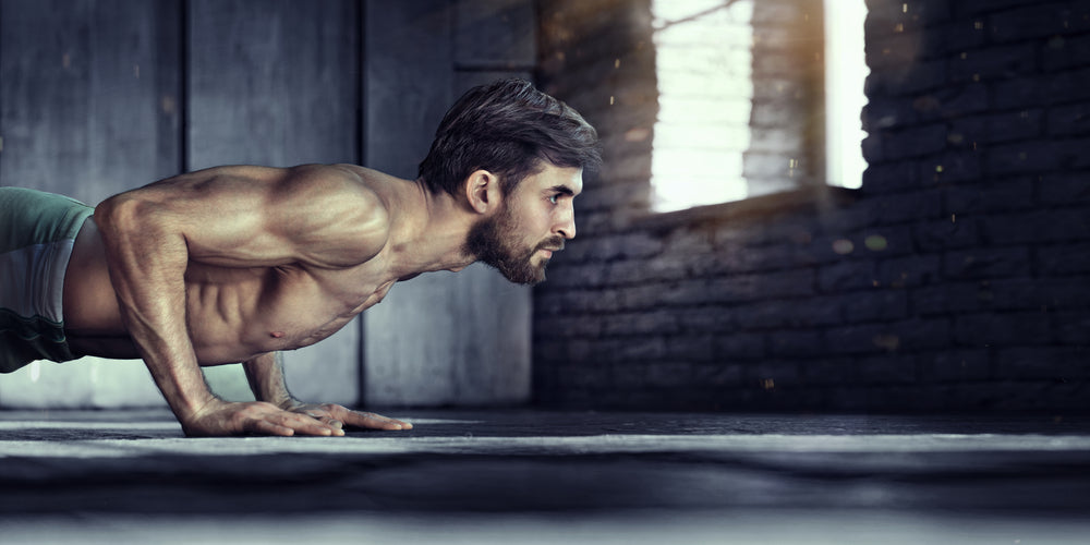 What muscles do push ups work?