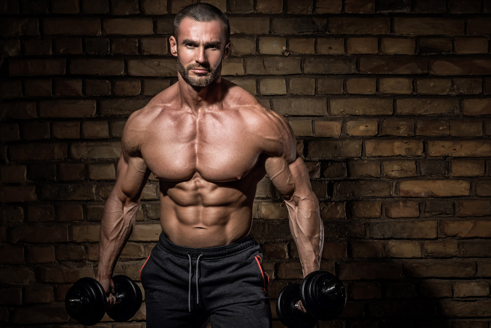 Strong well built bodybuilder lifting dumbbell weights getting ready for exercise in fitness