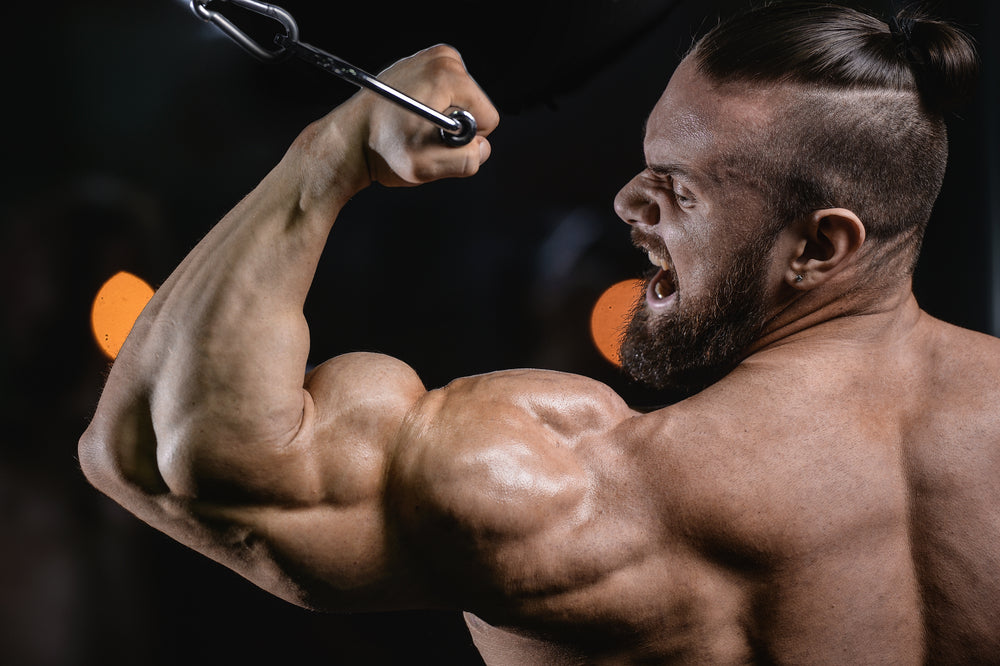 The 7 Best Barbell Arm Exercises for Strength & Size - Steel Supplements