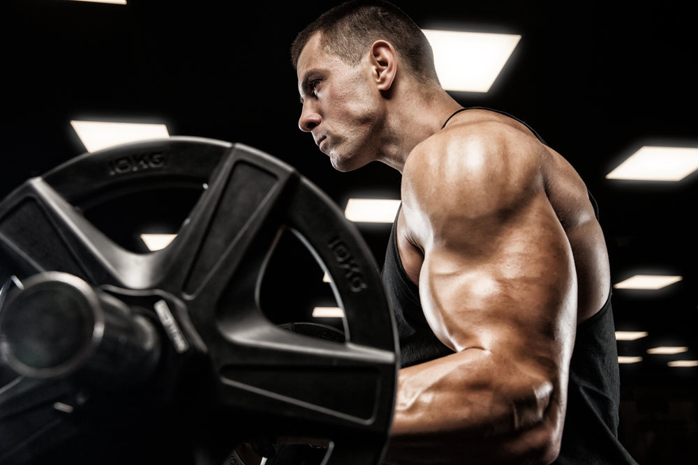 Handsome man with big muscles, posing at the camera in the gym