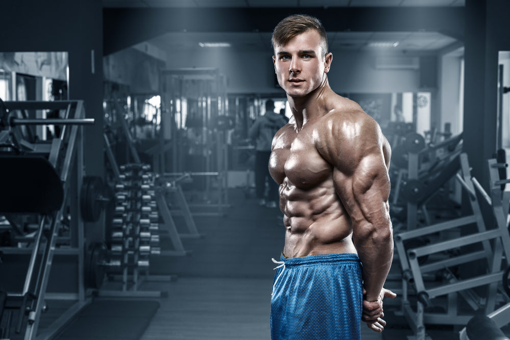 Sexy muscular man in gym, shaped abdominal, showing muscles