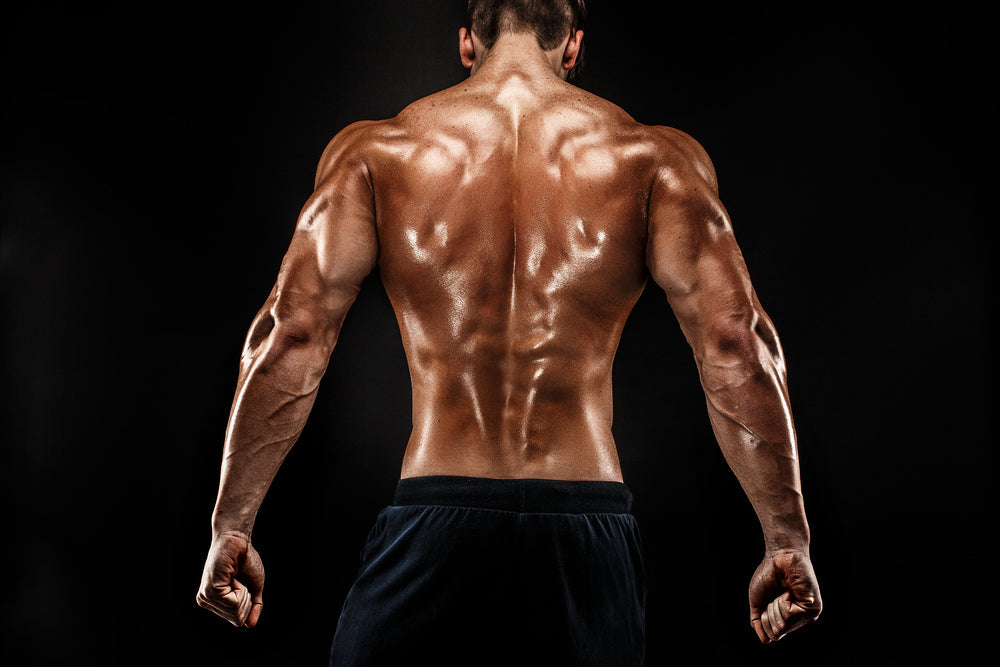 5 Back Workout Programs for a Barn Door Back