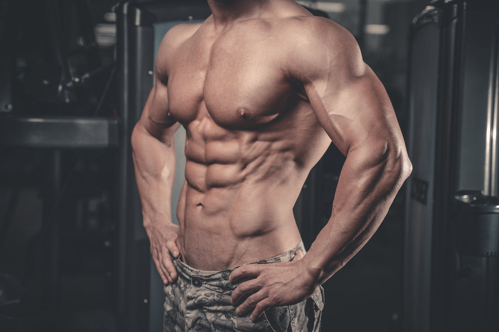 fitness model in gym showing his abs