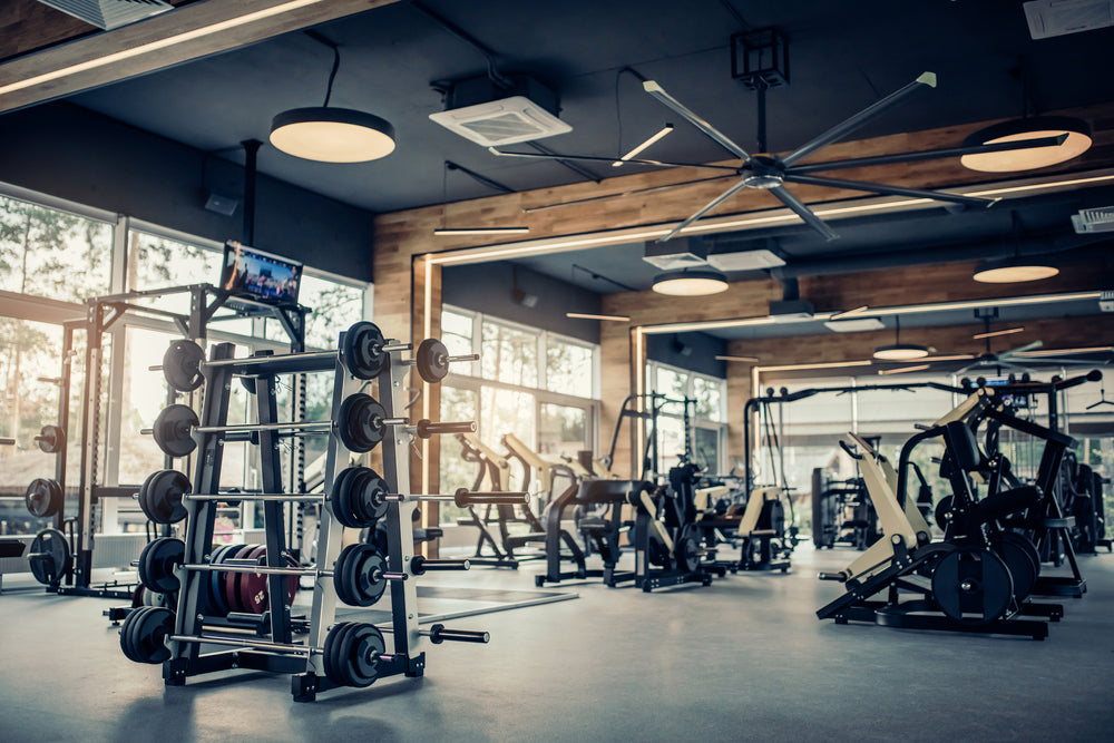 7 Best Gyms With Basketball Courts (Cost & What To Expect
