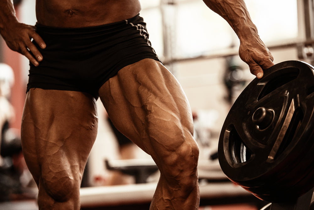 Close-up of bodybuilders muscular legs