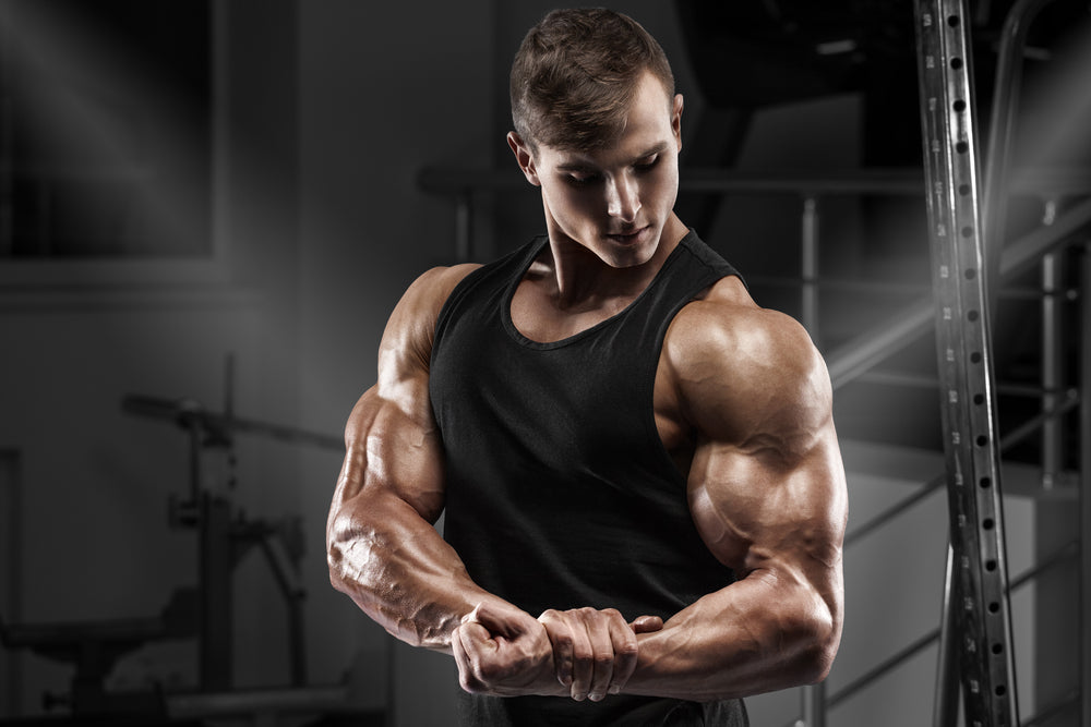 Strong male showing muscles biceps