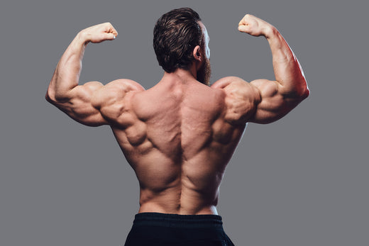 rear view of bodybuilder flexing muscles