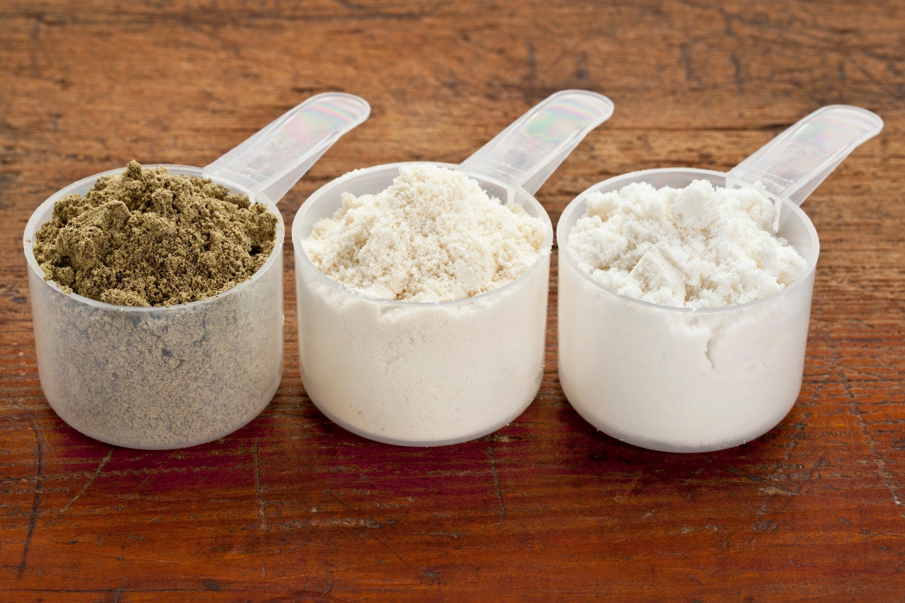 Is There A Difference Between Plant Protein Blend vs. Whey for Muscle Recovery?