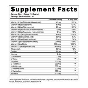 The Steel Supplements Supplement BCAAS|EAAS