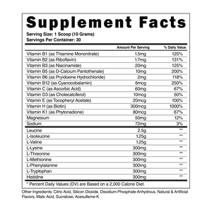 The Steel Supplements Supplement BCAAS|EAAS