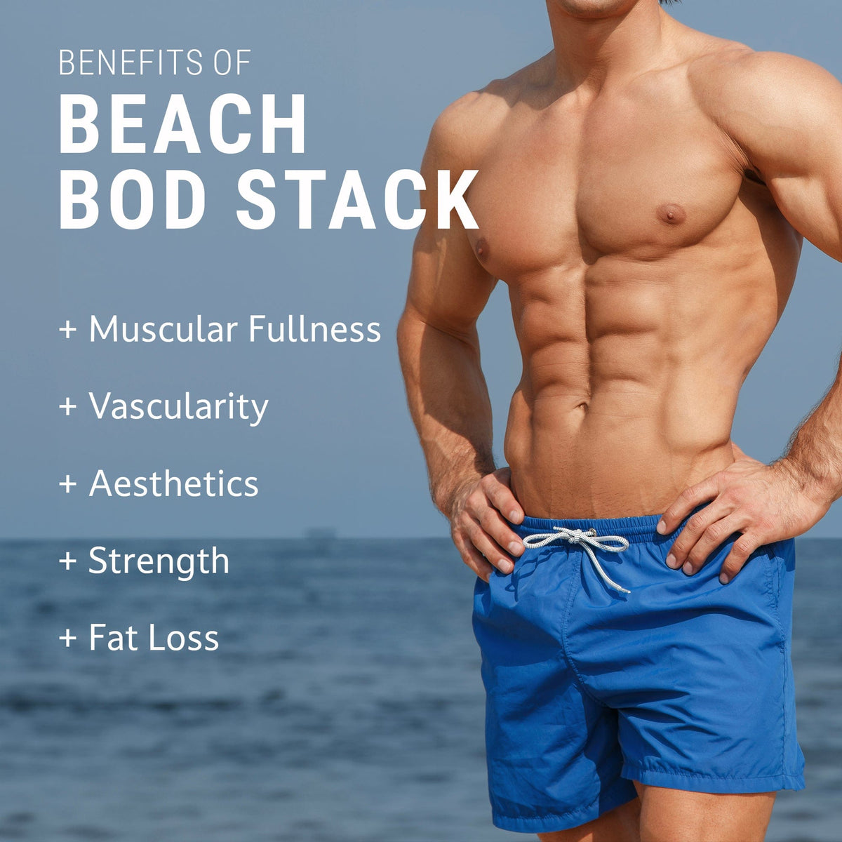 Steel Supplements Stack Beach Bod Stack