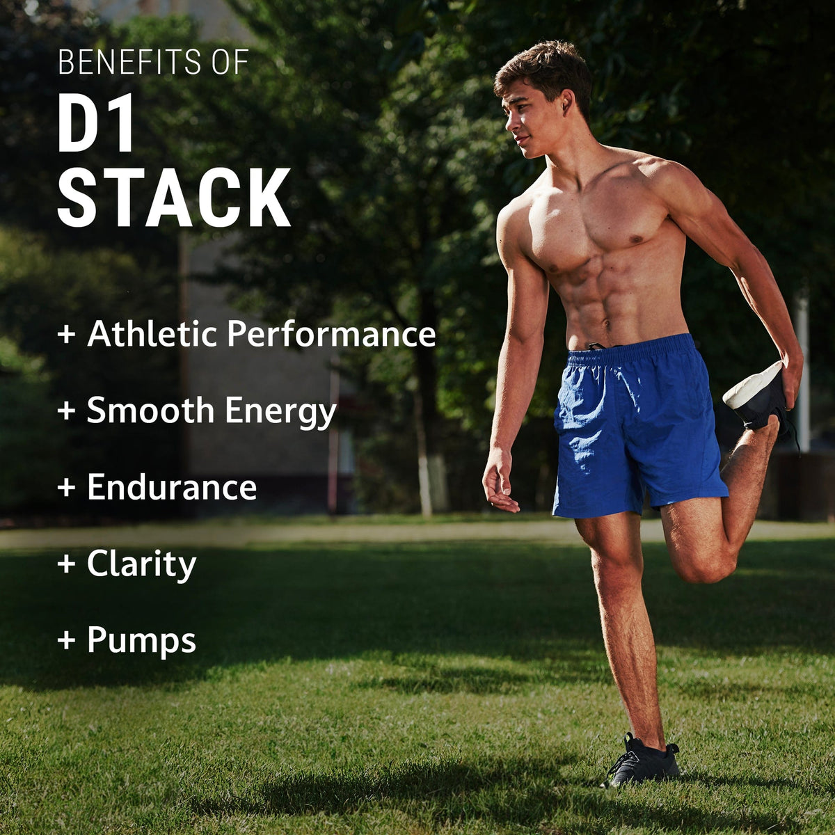 Steel Supplements Stack D1 Stack