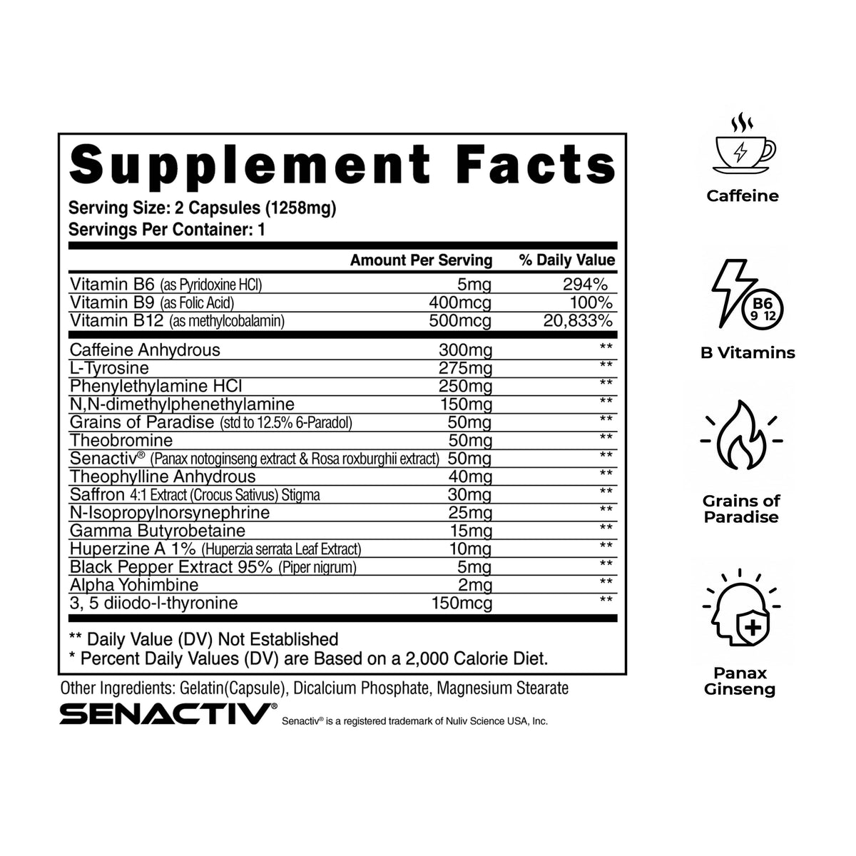 Steel Supplements Shredded Sample Bundle