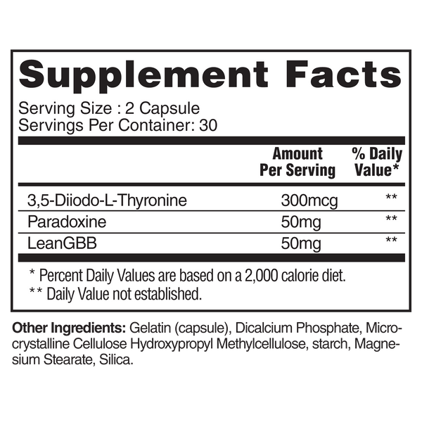 Steel Supplements T2ˣ