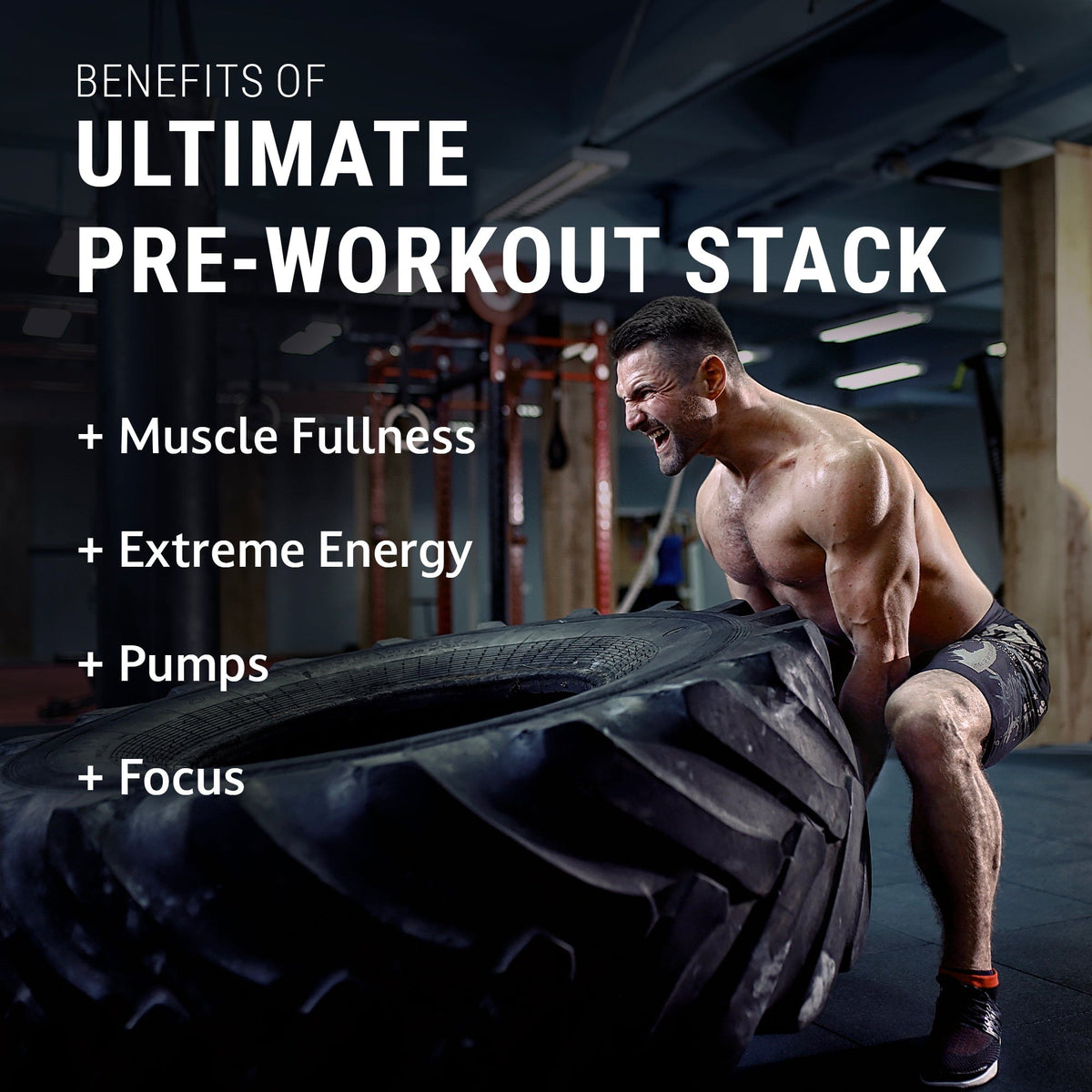 https://steelsupplements.com/cdn/shop/files/ultimate-pre-workout-stack-32988842098757_1200x.jpg?v=1696336257