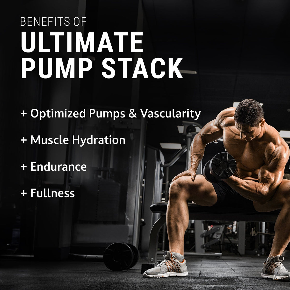 Steel Supplements Stack Ultimate Pump Stack