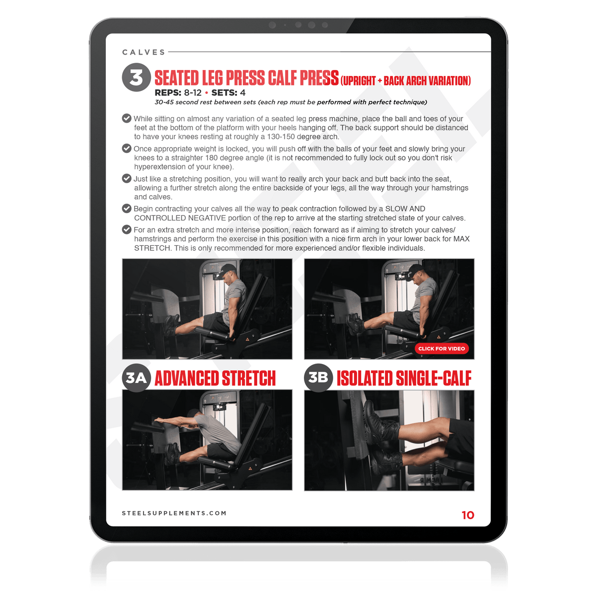 Steel Supplements Ebook The Massive Calves &amp; Hamstrings Ebook