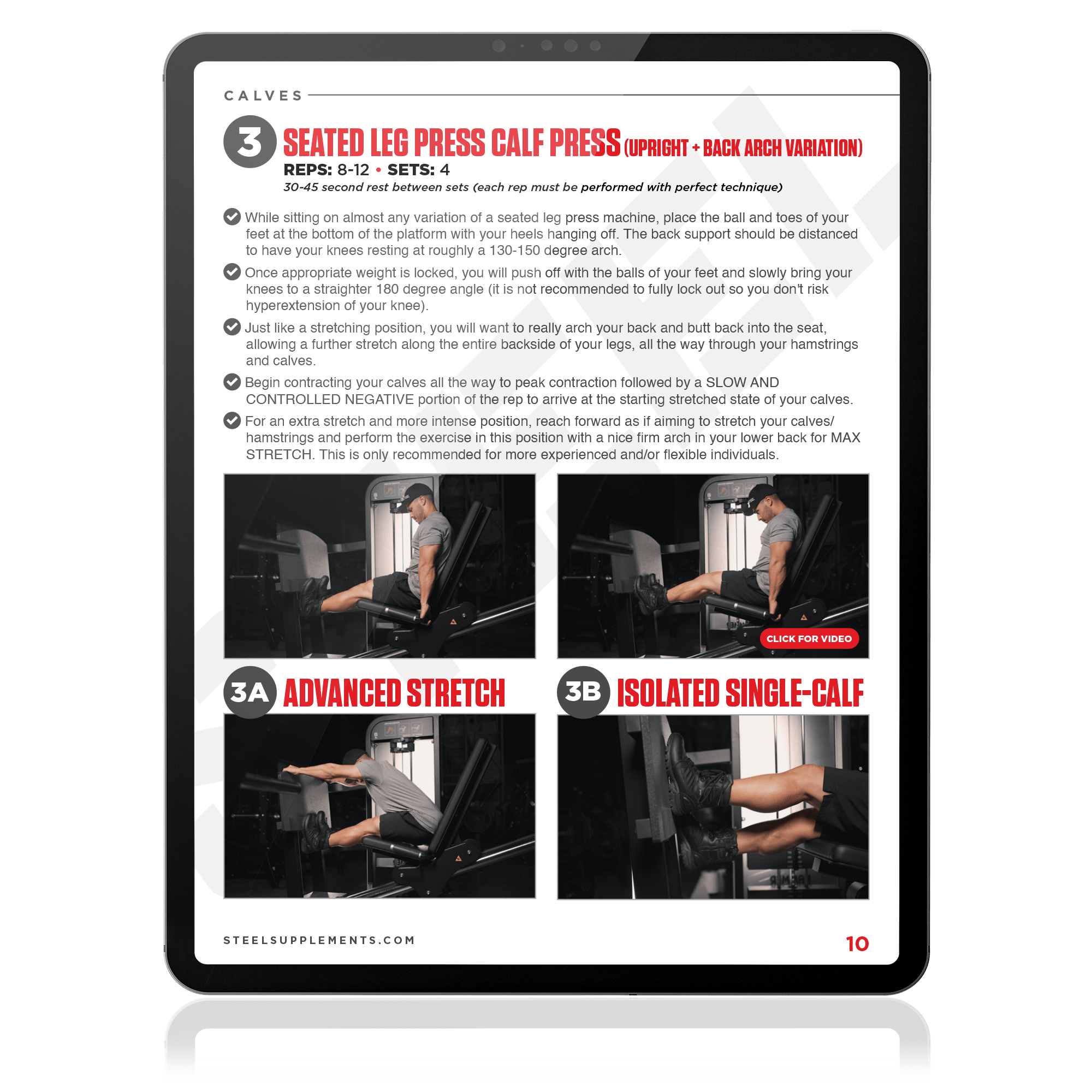 The Massive Calves & Hamstrings Ebook - Steel Supplements